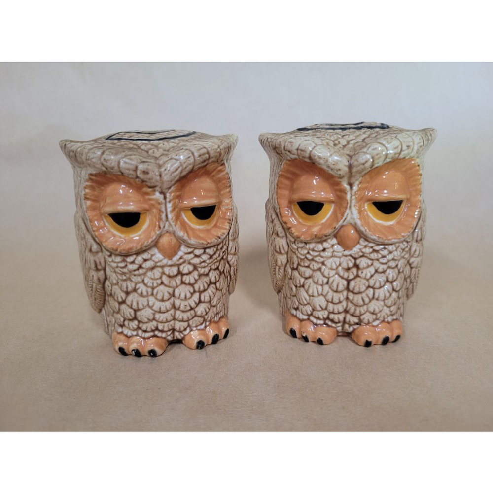 Vintage 1980 Sleepy Hollow Owl Salt and Pepper Shakers
